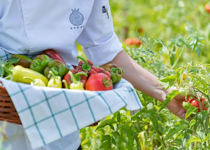 Pomegranate Wellness Курортный комплекс Халкидики