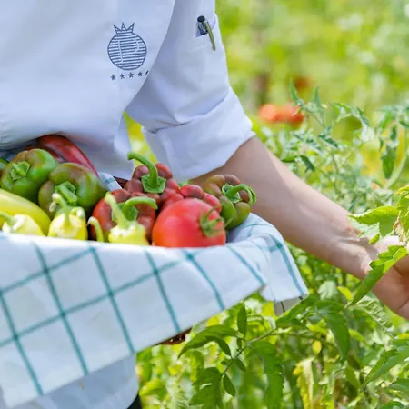 Pomegranate Wellness 리조트 Chalkidiki